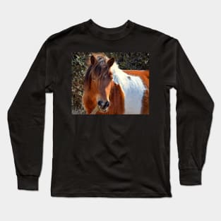 Assateague Pony Ms Macky Portrait Long Sleeve T-Shirt